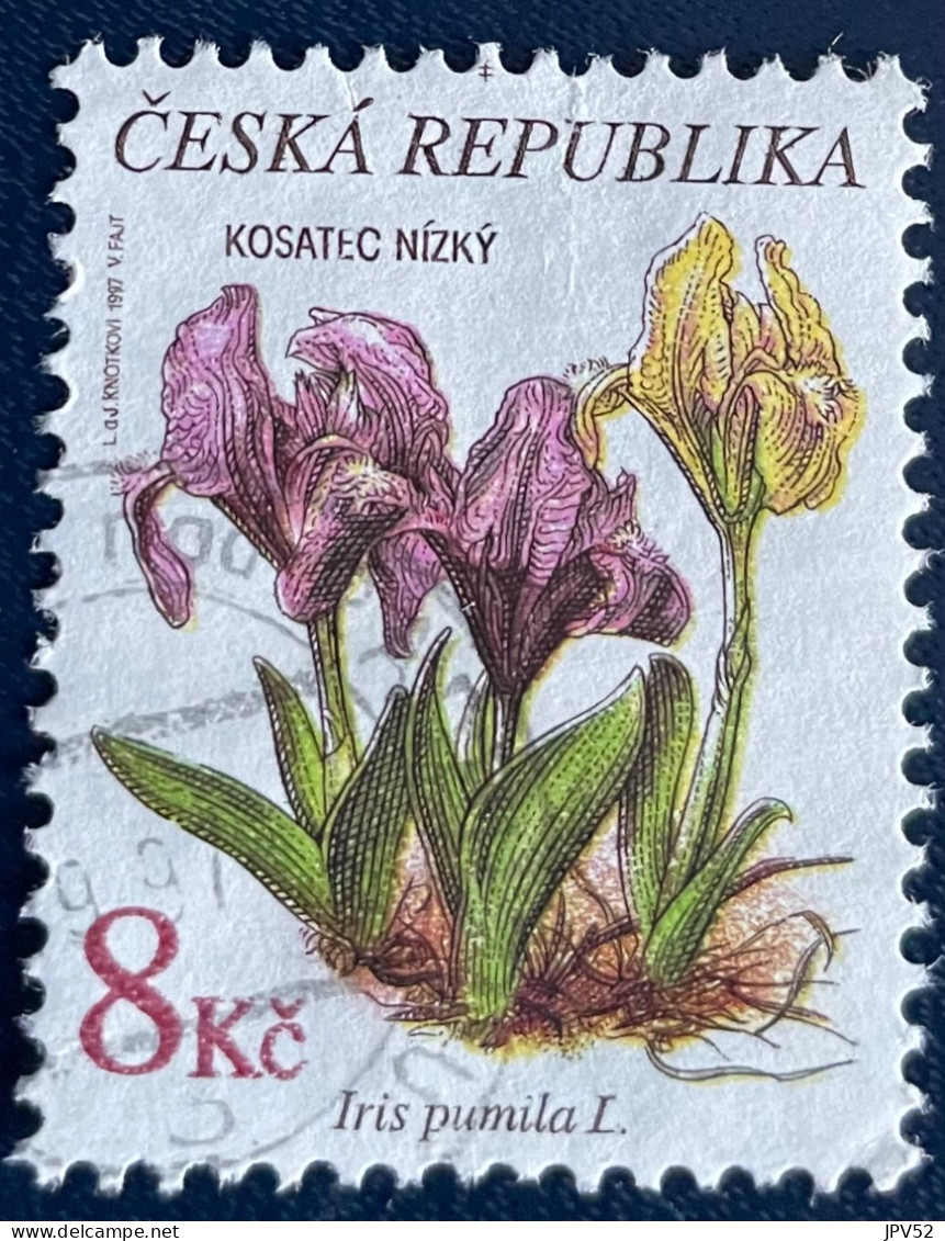 Ceska Republika - Tsjechië - C4/4 - 1997 - (°)used - Michel 138 - Beschermde Planten - Gebruikt