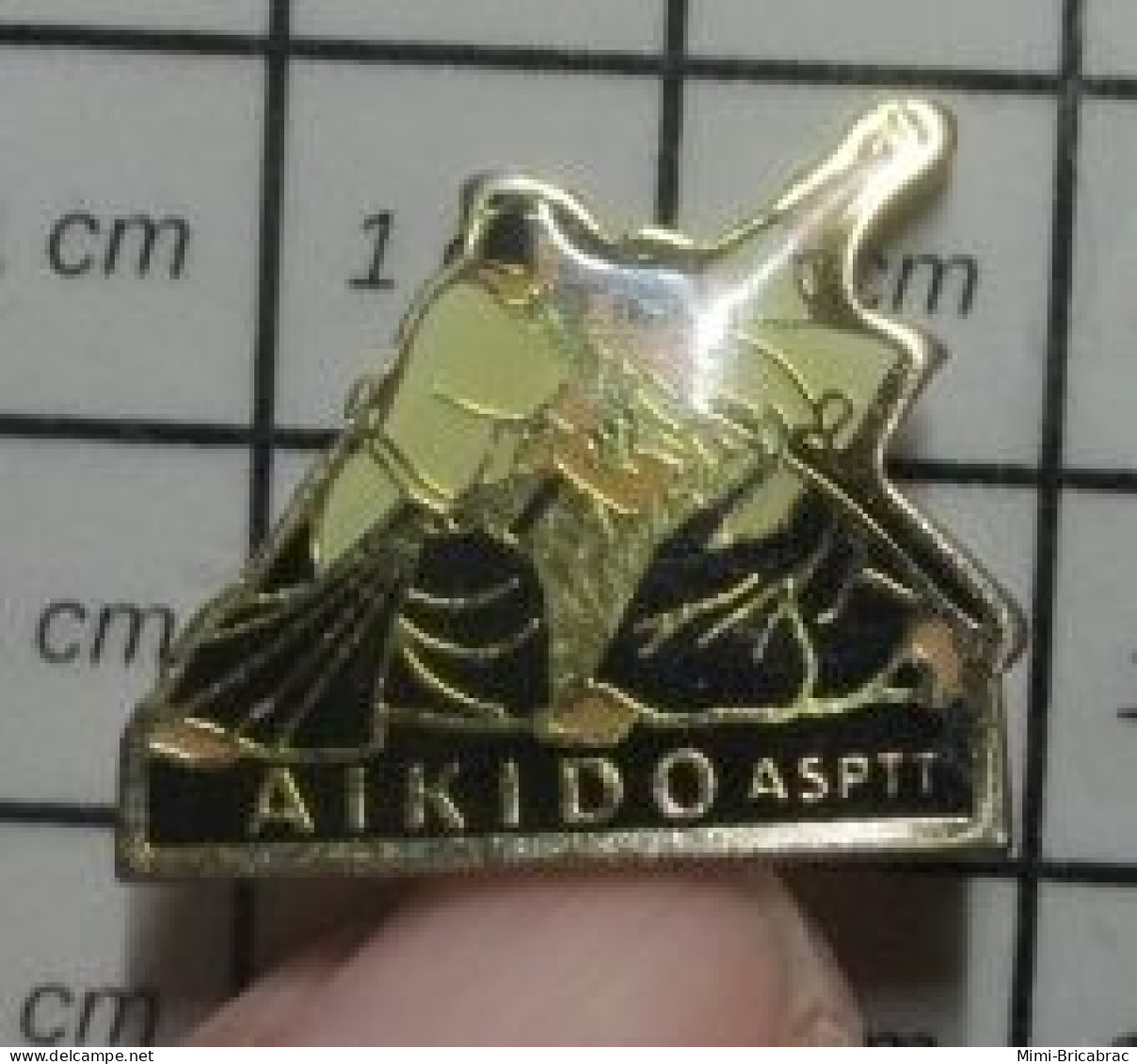 617 Pin's Pins / Beau Et Rare / SPORTS / JUDO KARATE AIKIDO - Judo