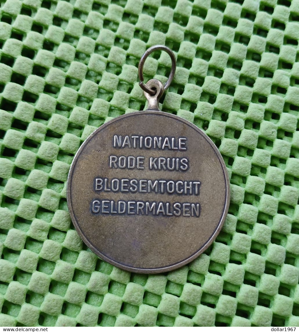 Medaille -  Nationale Rode Kruis Bloesemtocht Geldermalsen  -  Original Foto  !! - Altri & Non Classificati