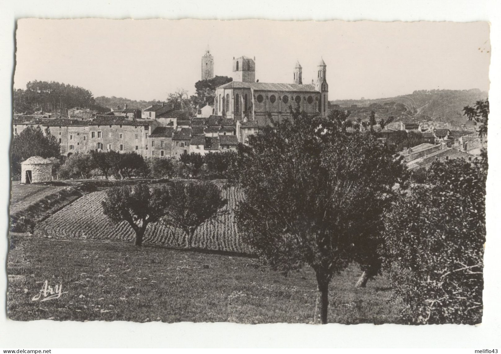 83/CPSM - Rians - Vue Générale Des Moulins - Rians