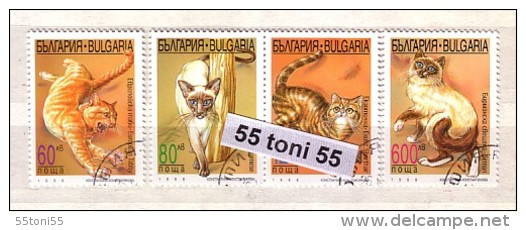 1998 CATS 4v.- Used/oblitere (O) BULGARIA / Bulgarie - Usati
