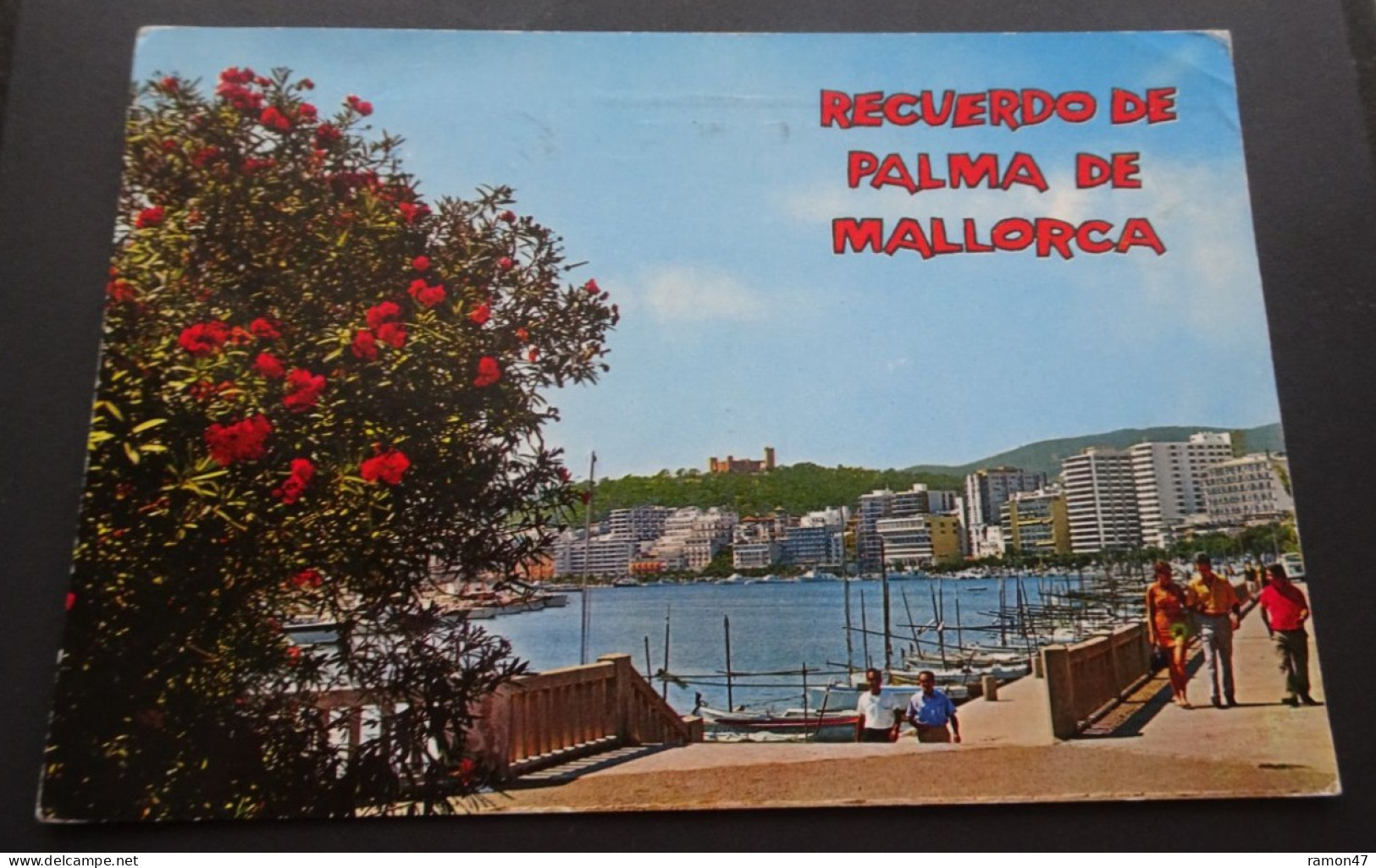 Recuerdo De Palma De Mallorca - Vista Parcial, Maseo Maritimo - Ed. Beascoa - # 1200 - Alicante