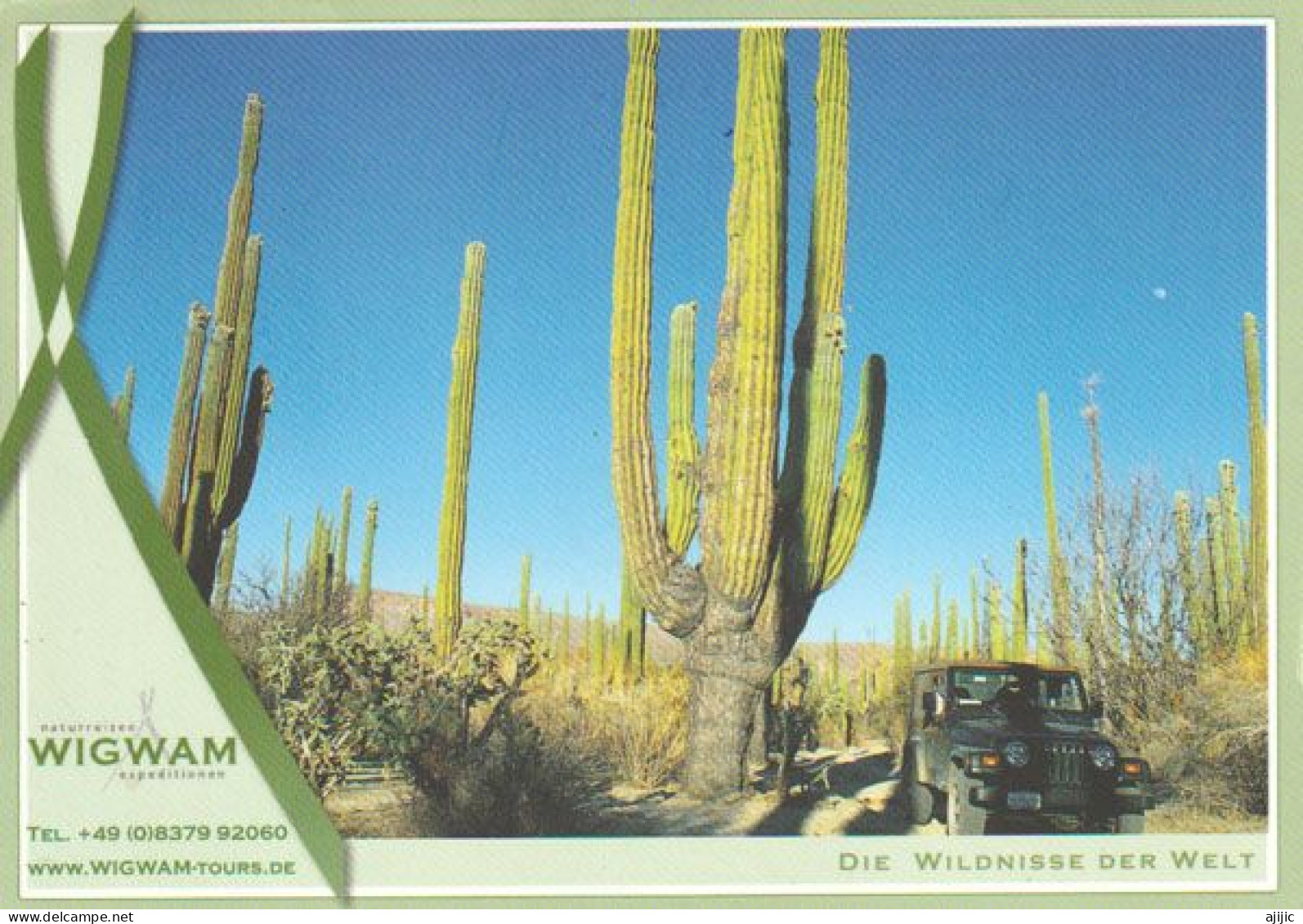 ÉTENDUES SAUVAGES DU MONDE.Saguaro Cactus,Arizona. New German Stamp At The Back (Planetarium) - Cactusses