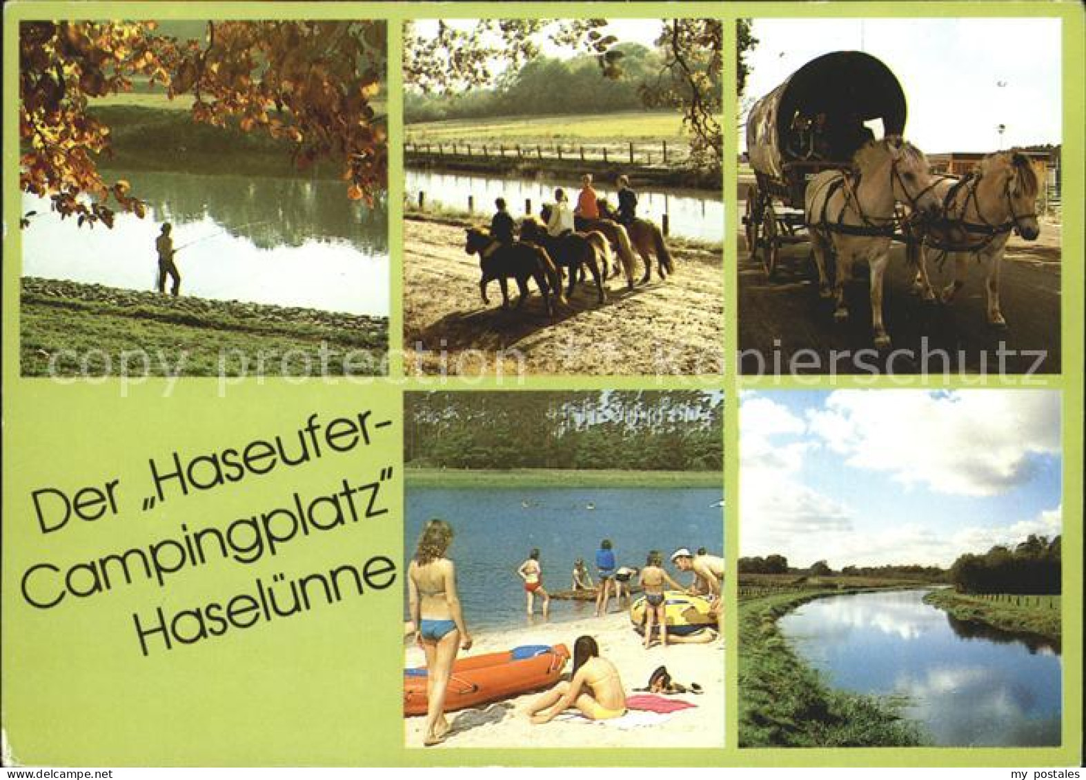 72037499 Haseluenne Haseufercampingplatz Pferdekutsche Angeln  Haseluenne - Haseluenne