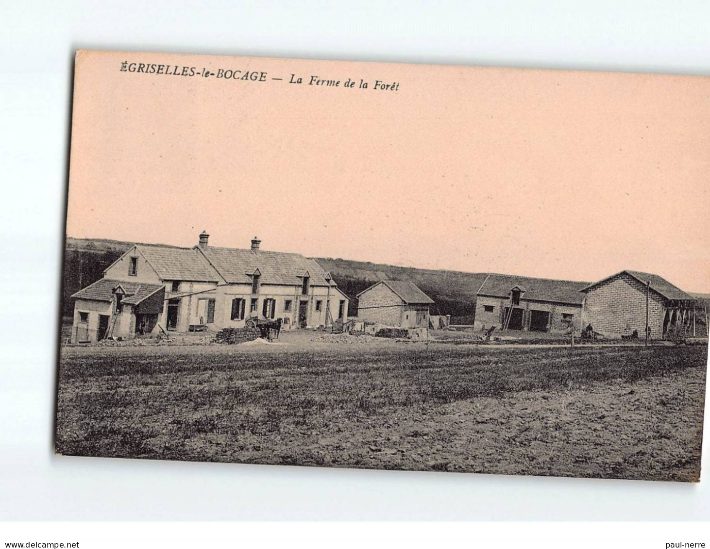 EGRISELLES LE BOCAGE : La Ferme De La Forêt - état - Egriselles Le Bocage