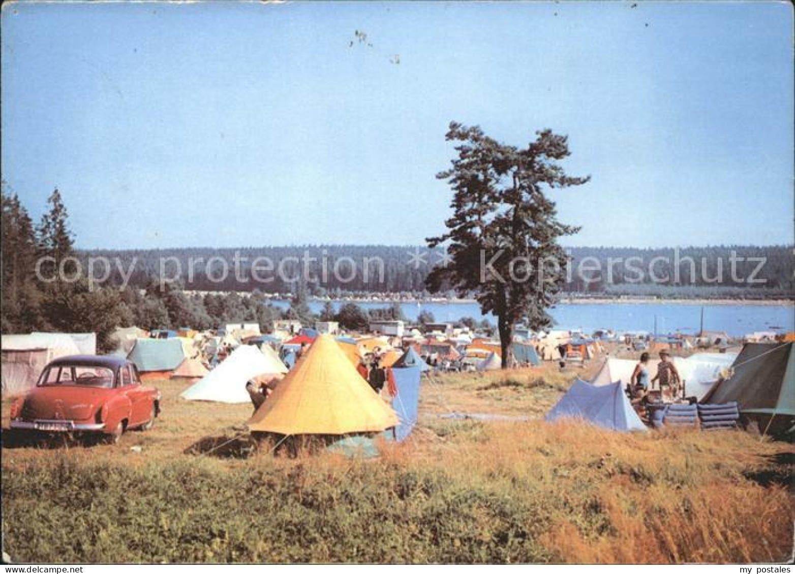 72035396 Ehrenfriedersdorf Erzgebirge Greifenbachstauweiher Campingplatz Ehrenfr - Ehrenfriedersdorf