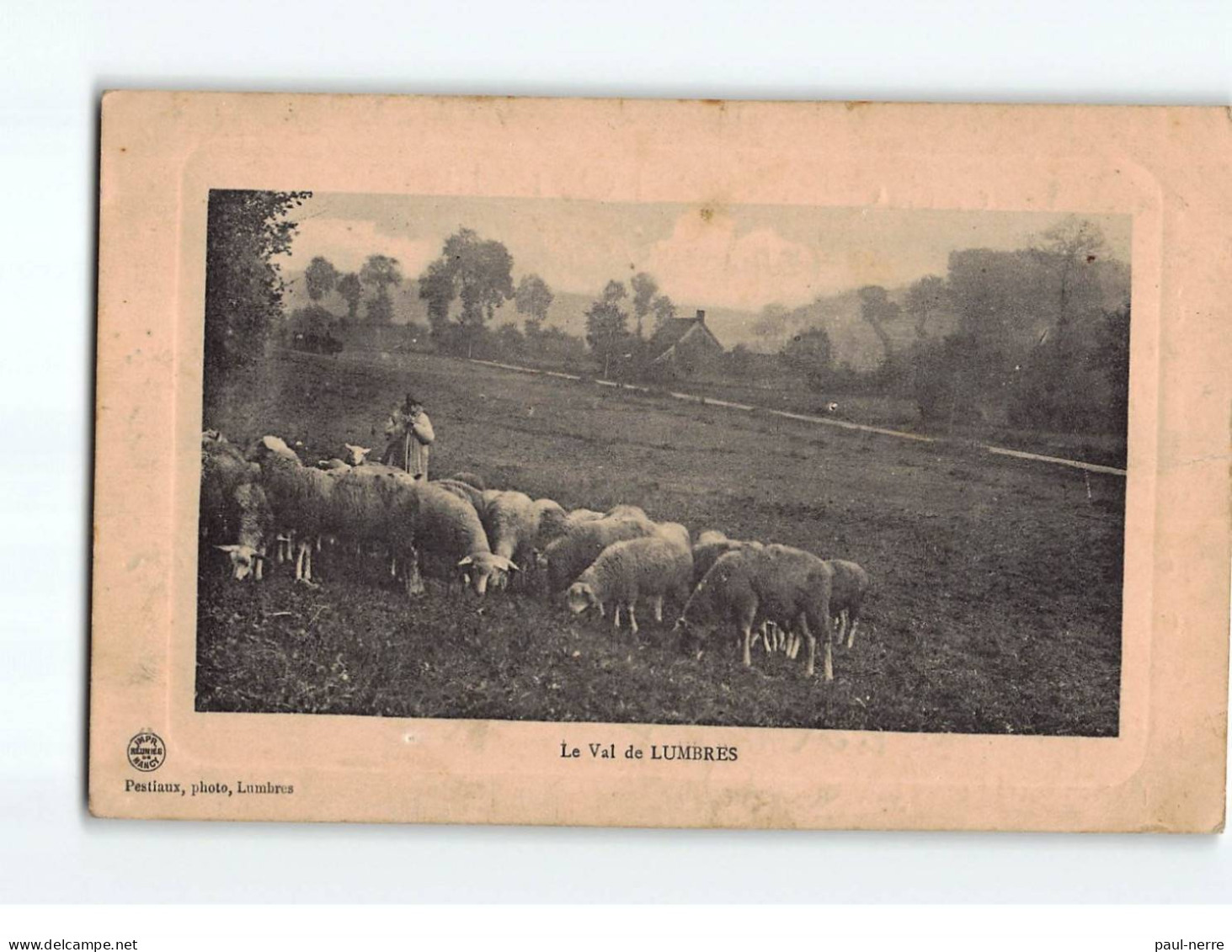 LUMBRES : Le Val, Les Moutons Au Pâturage - Très Bon état - Lumbres