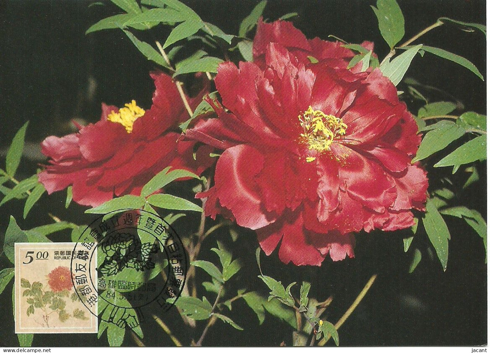 Carte Maximum - Taiwan - Formose - Flowers - Fleurs - Paeonia Suffruticosa - Cartes-maximum