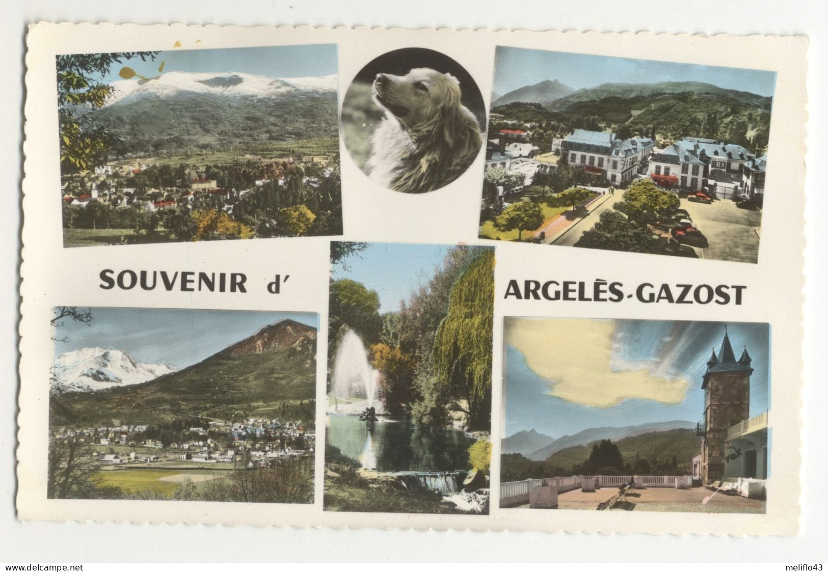 65/CPSM - Souvenir D'Argelès Gazost - Argeles Gazost