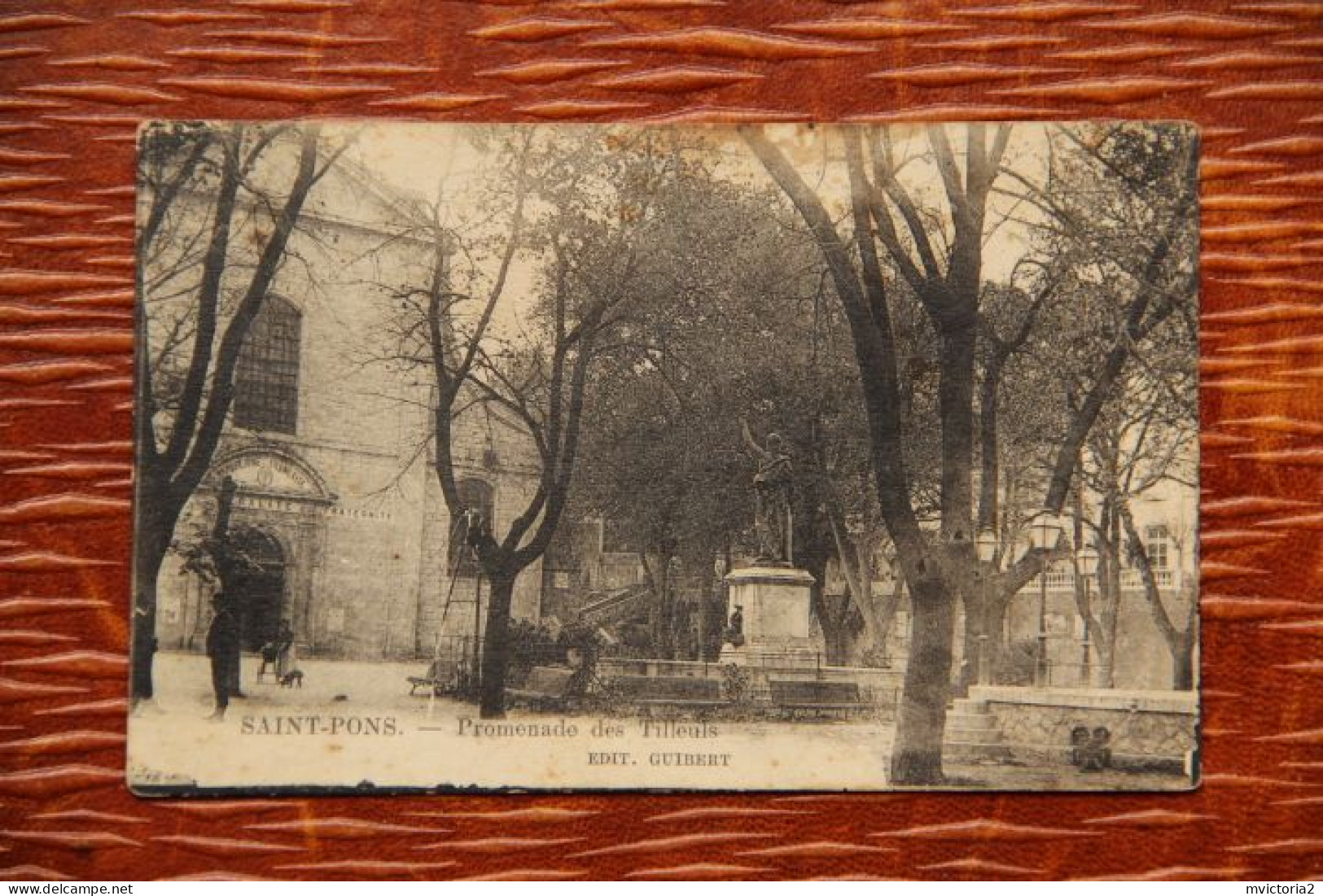 34 - ST PONS : Promenade Des Tilleuls - Saint-Pons-de-Thomières