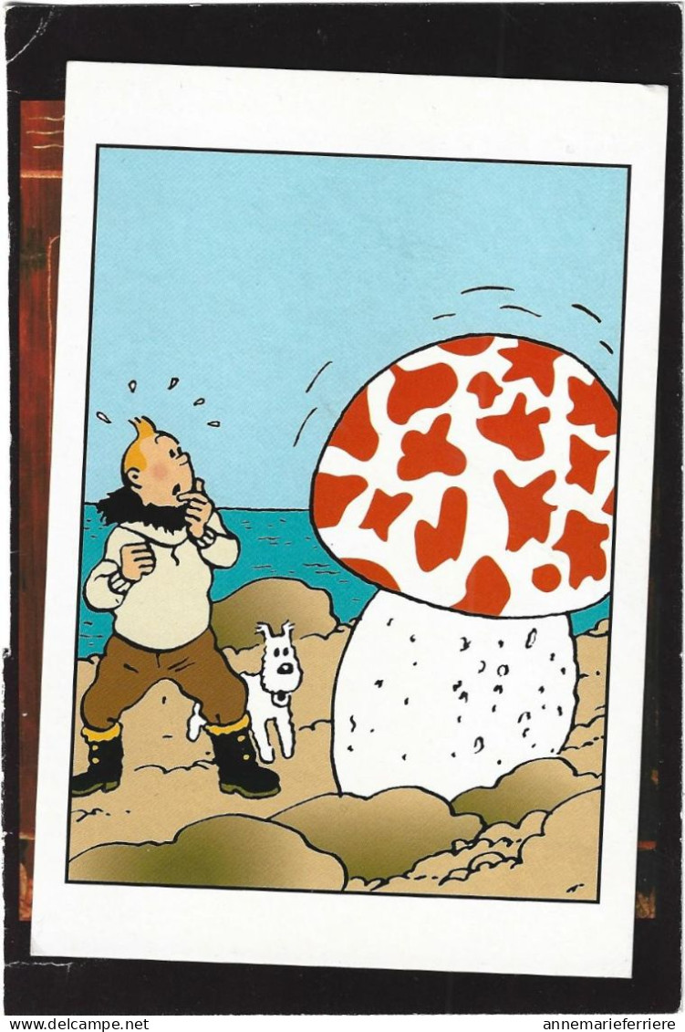 ILLUSTRATION SIGNE - Tintin , Milou Et Le Chamgnon  Hergé N°038 - Hergé