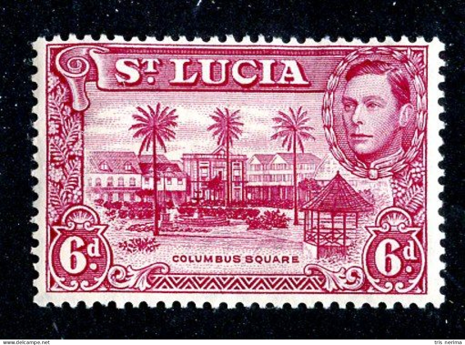 7984 BCXX 1948 St Lucia Scott # 119a P.13½ MNH** (offers Welcome) - St.Lucie (1979-...)