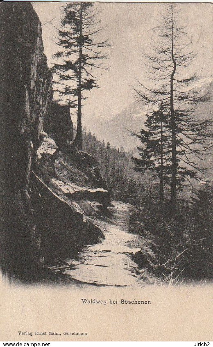 AK Waldweg Bei Göschenen - 1906 (67032) - Göschenen