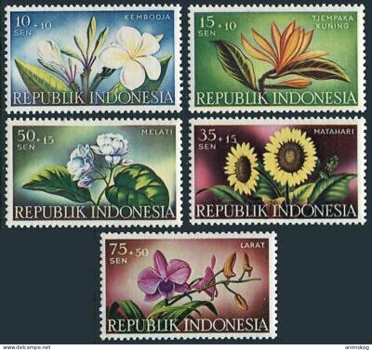 Indonesien 1957**, Blumen, Sukkulente Plumeria / Indonesia 1957, MNH, Flowers, Succulent Plumeria - Sukkulenten