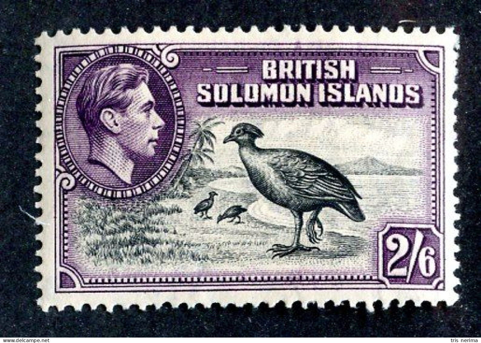 8108 BCXX 1939 Solomon Is Scott # 77 MNH** (offers Welcome) - British Solomon Islands (...-1978)