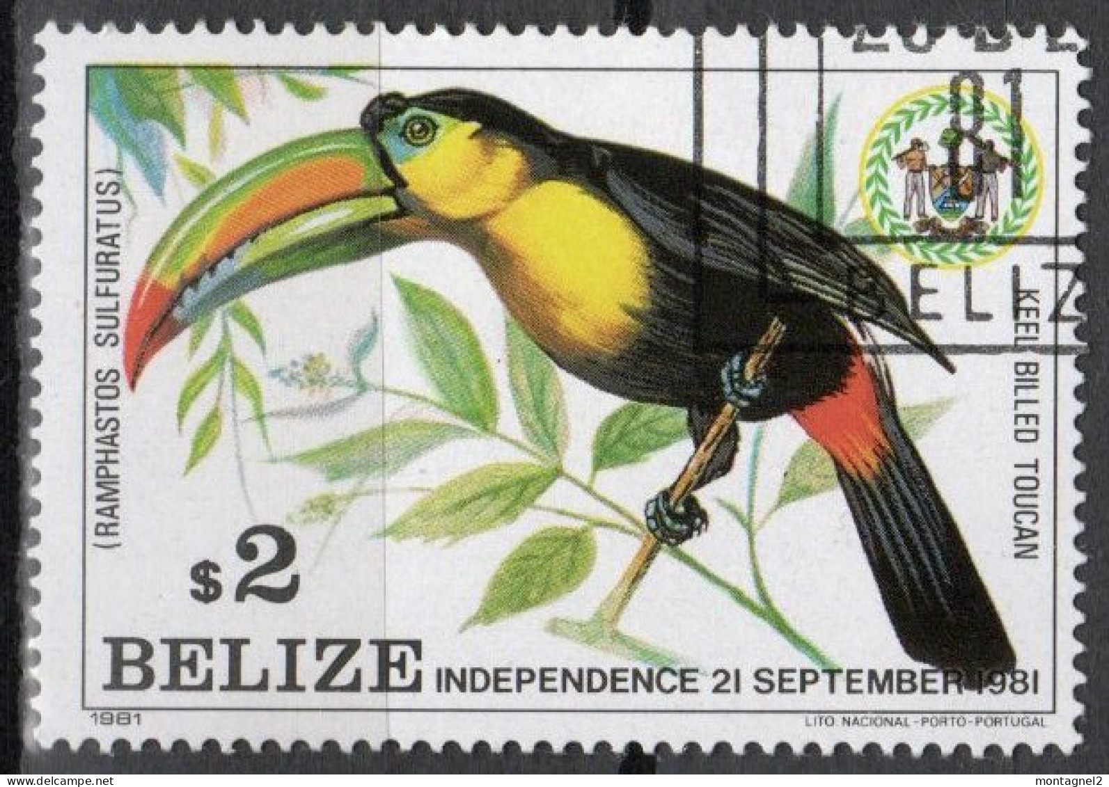 Bélize Timbre N°565 Oblitéré - Cuculi, Turaco