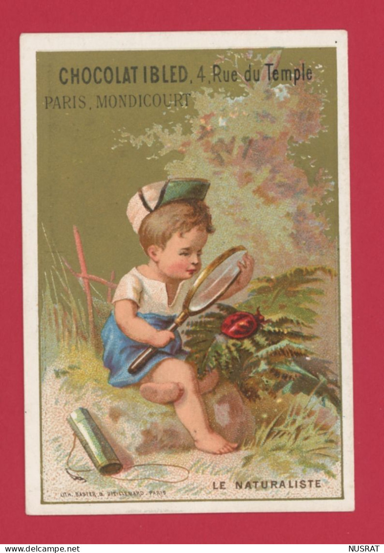 Chocolat IBLED, Jolie Chromo Lith. Baster & Viellemard BV11-10, Enfants Pieds Nus, Le Naturaliste - Ibled