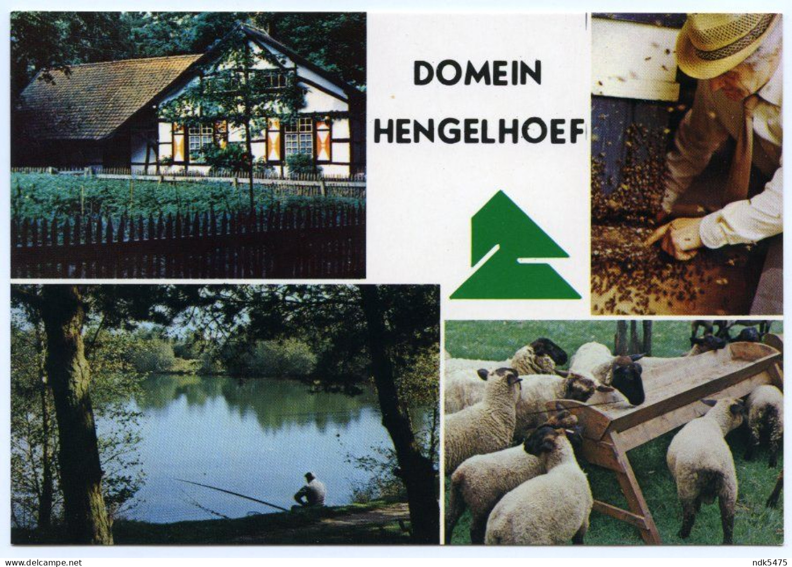 BELGIQUE : HOUTHALEN - DOMEIN HENGELHOEF (10 X 15cms Approx.) - Houthalen-Helchteren