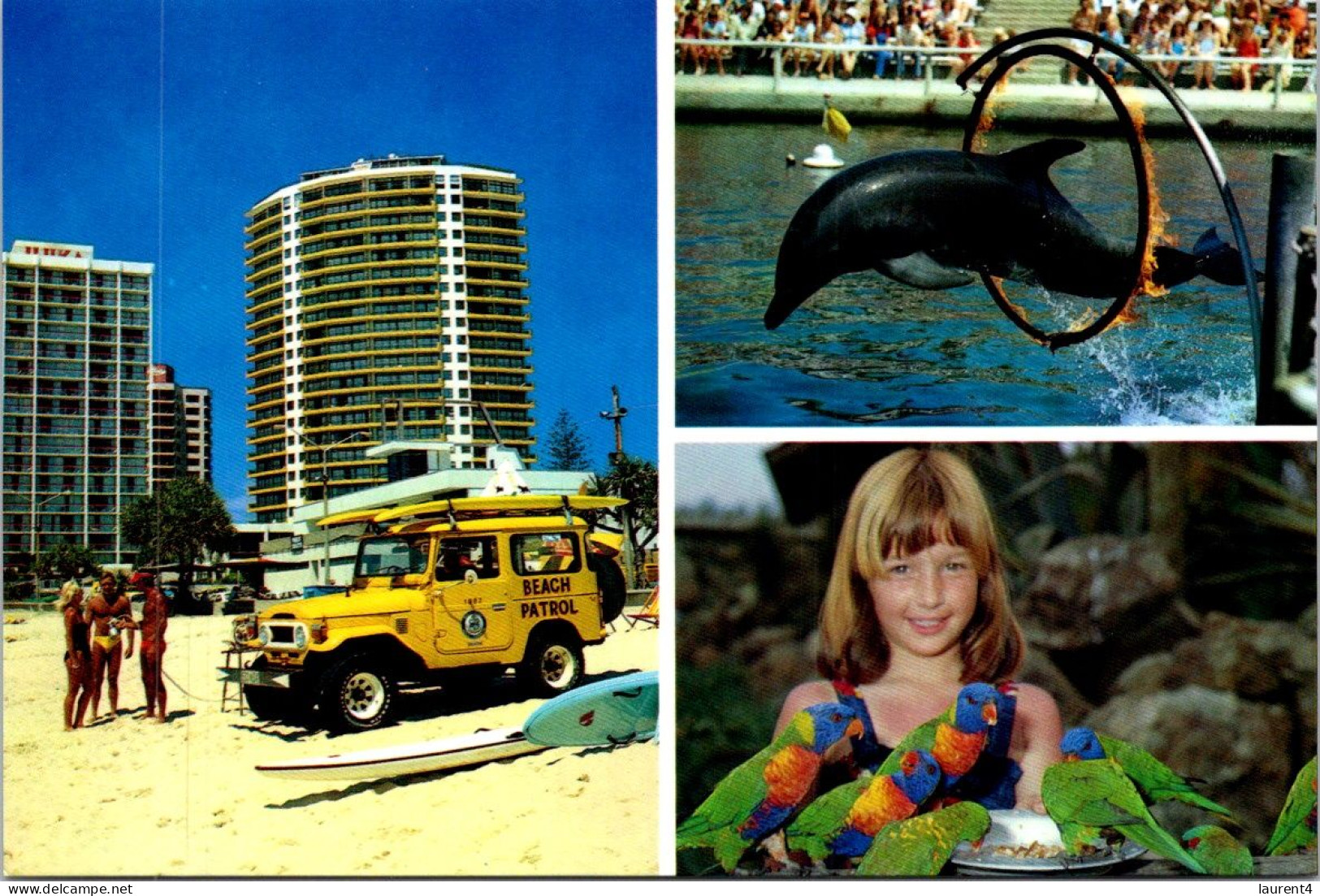 22-1-2024 (2 X 1) Australia (2 Pre-pai Maxicqrd) Queensland (QLD) Fish & Dolphin - Dolphins