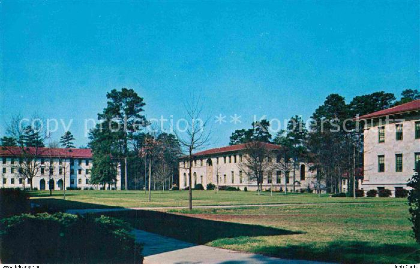 72892078 Atlanta_Georgia Emory University Quadrangle - Other & Unclassified