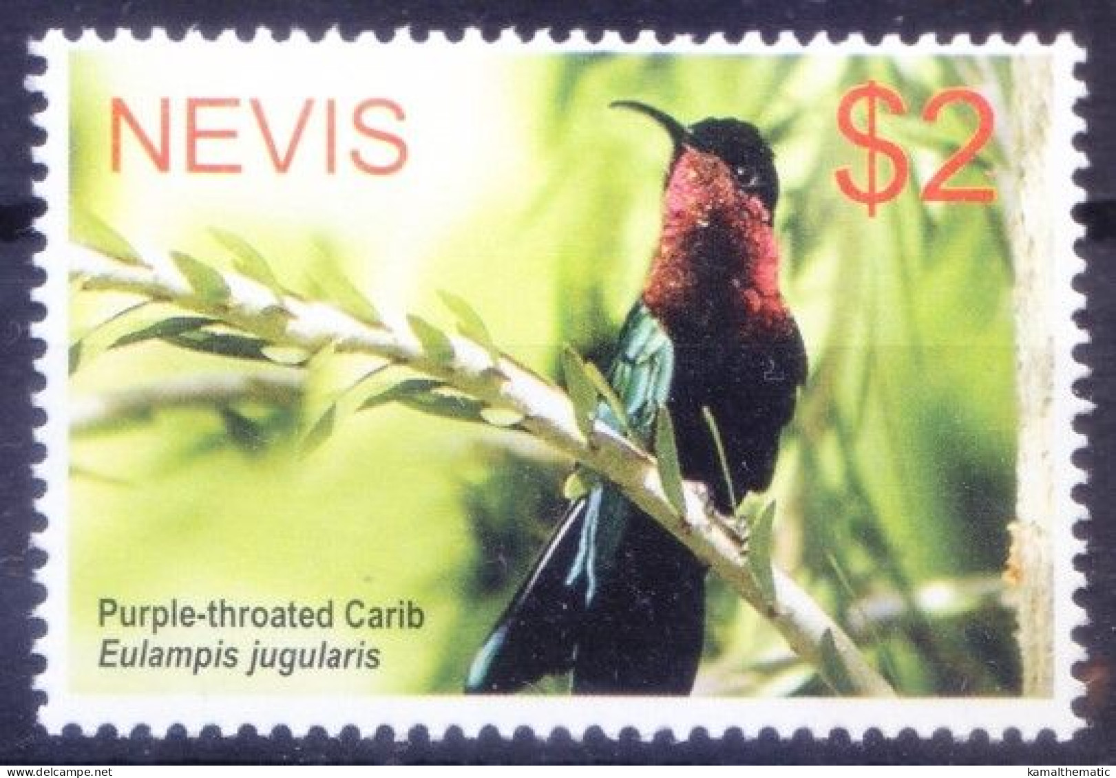 Nevis 2005 MNH, Purple-throated Carib Hummingbird, Birds - Kolibries