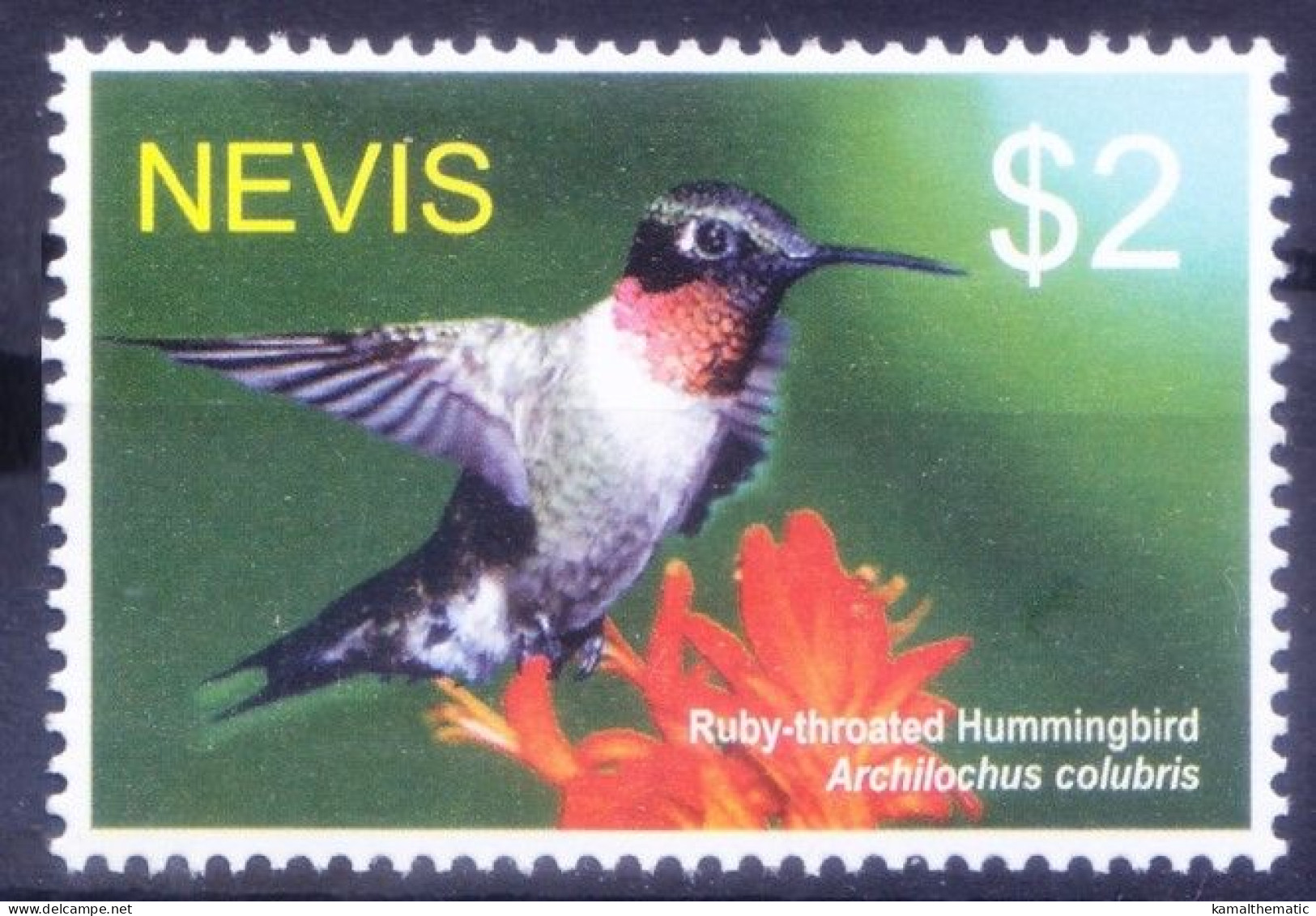 Nevis 2005 MNH, Ruby-throated Hummingbird, Birds - Colibrì