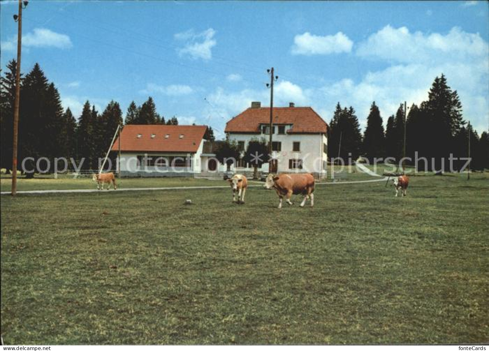 11866886 Les Emibois Maison De Vacances De Boncourt Kuehe Les Emibois - Autres & Non Classés