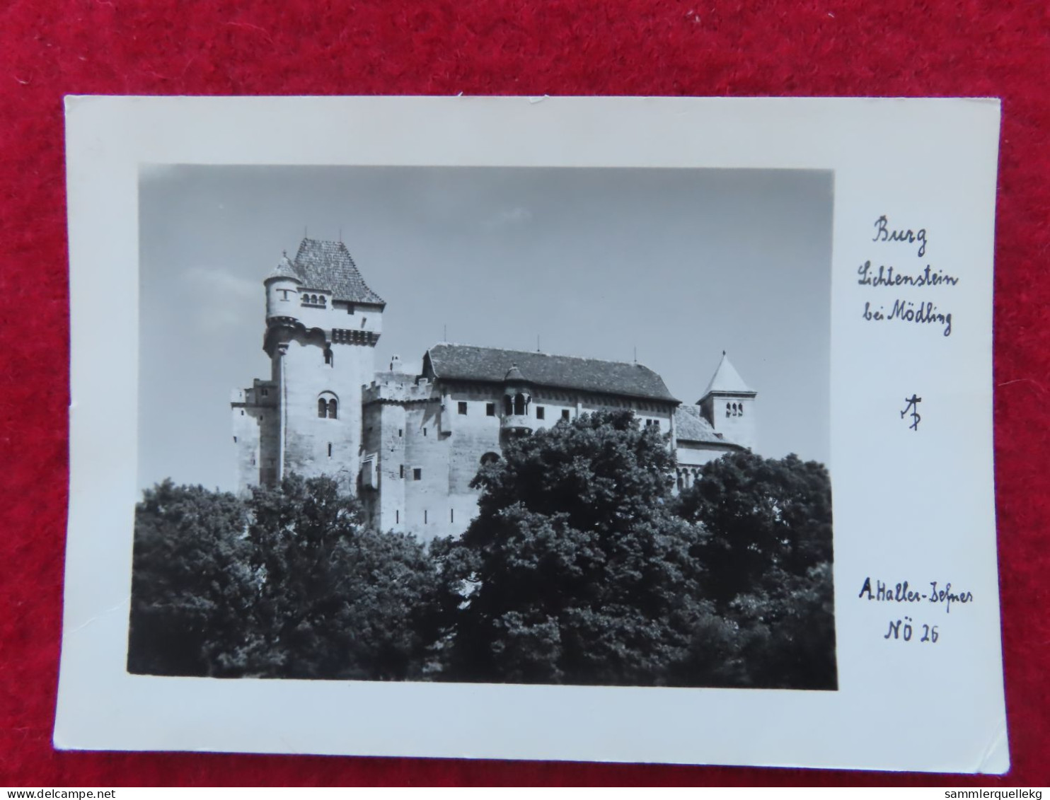 AK: Echtfoto, Burg Lichtenstein Bei Mödling, Ungelaufen, Beschrieben  (Nr. 5403) - Mödling