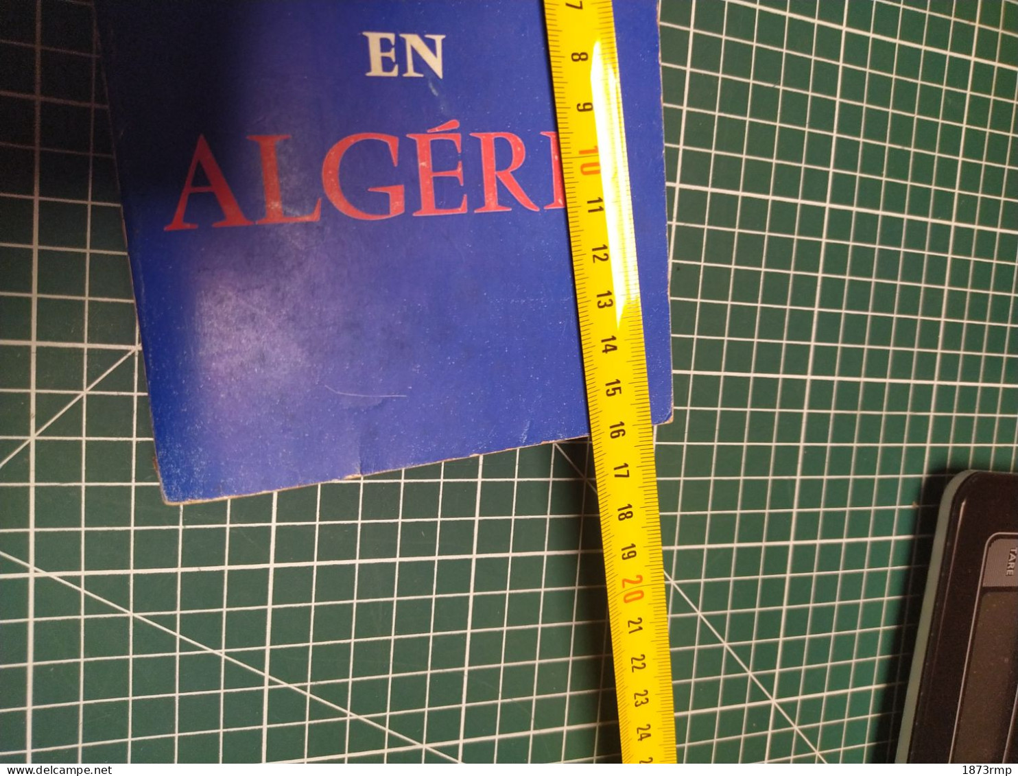 PAIX EN ALGERIE, GENERAL AUMERAN, 39/45 ET GUERRE D'ALGERIE - French