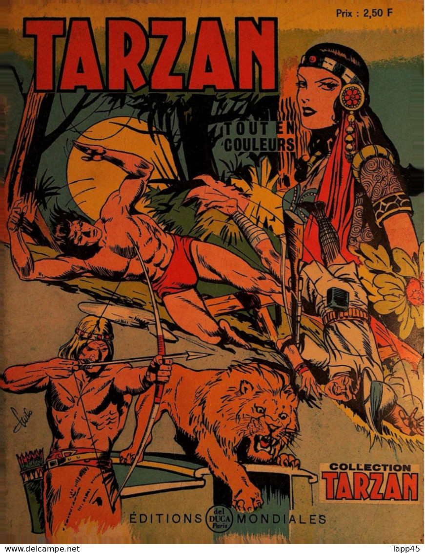 B D > Tarzan > 1971  Cartonné  >  Réf  C 16 - Tarzan
