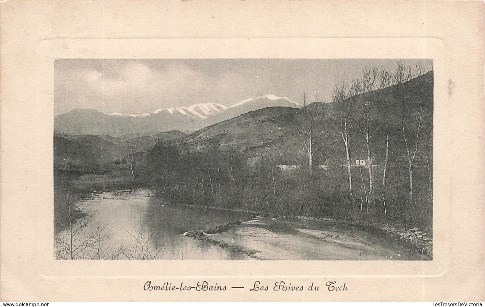 FRANCE - Amélie Les Bains - Les Rives Du Tech - Carte Postale Ancienne - Amélie-les-Bains-Palalda