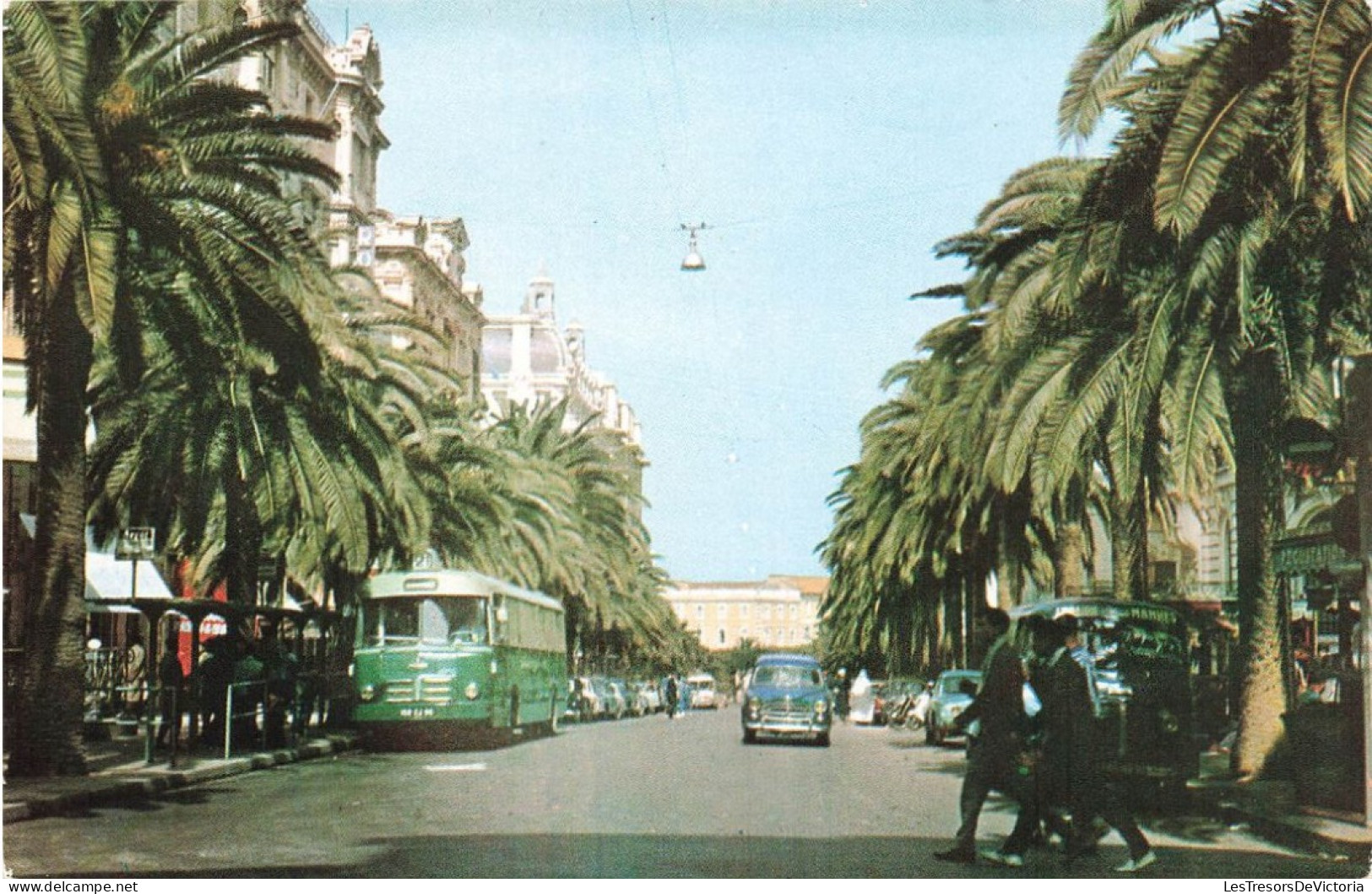 ALGÉRIE - Oran - Le Boulevard Galliéni - Carte Postale - Oran