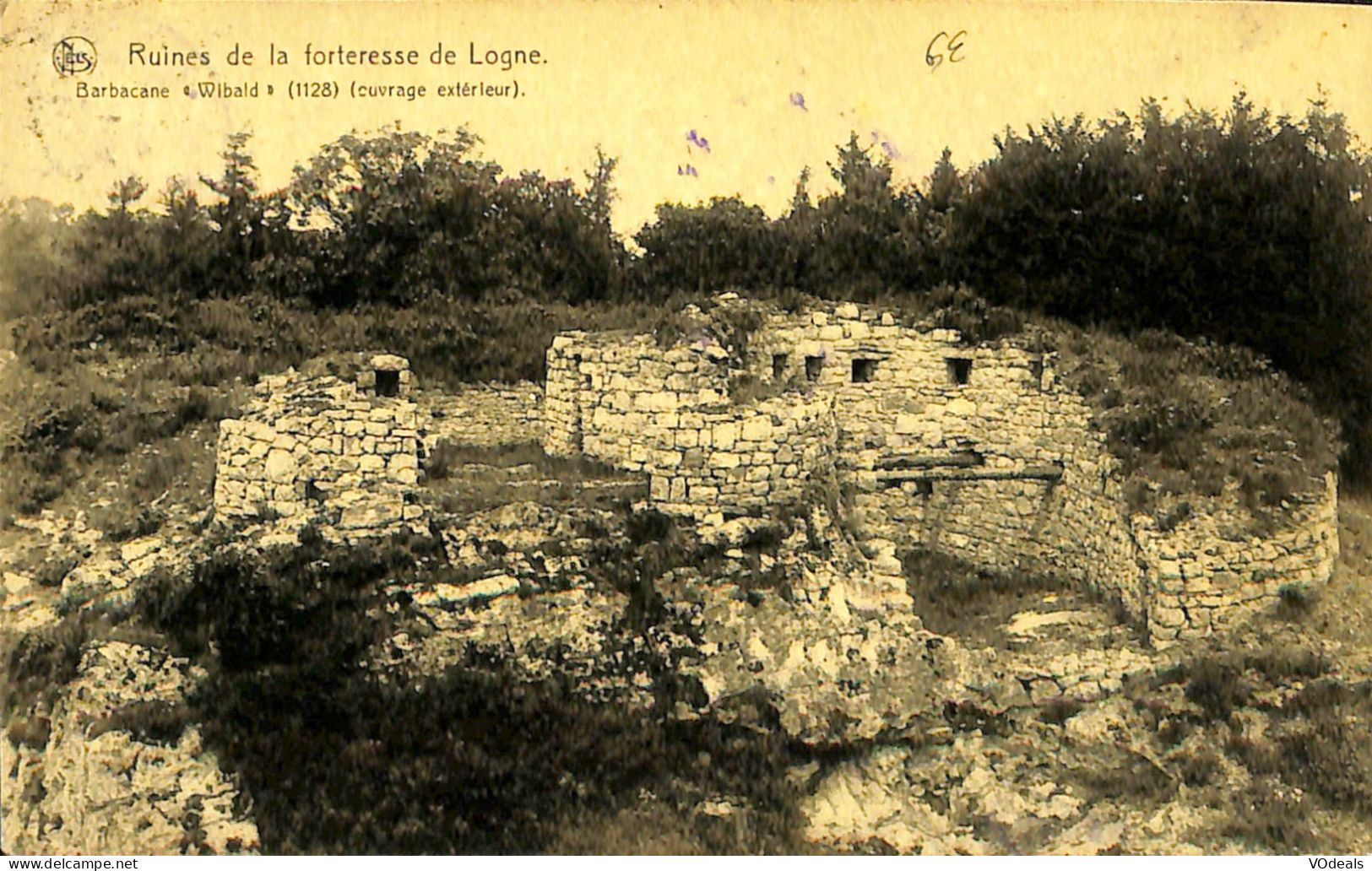 Belgique - Liège - Ruines De La Forteresse De Logne - Ferrieres