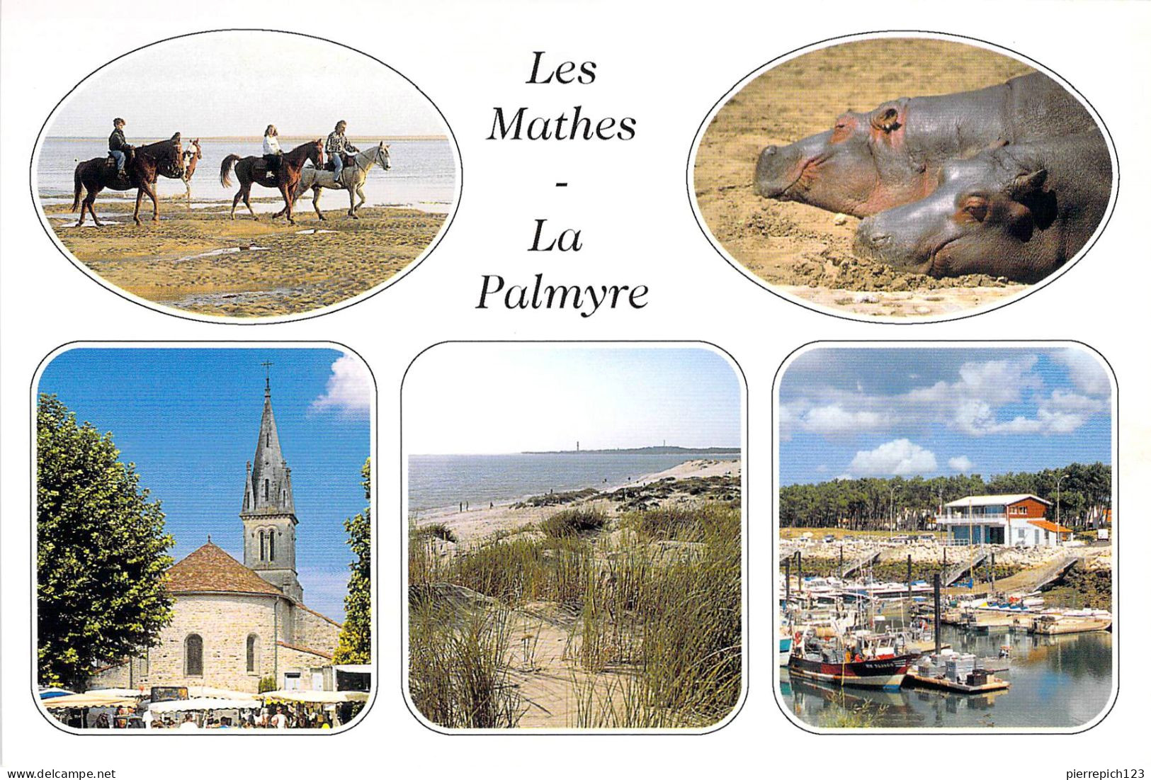 17 - Les Mathes - La Palmyre - Multivues - Les Mathes