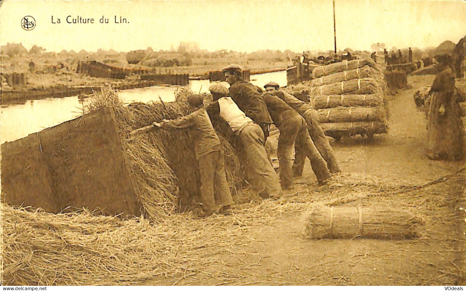 Belgique - Flandre Occidentale - Kortrijk - La Culture Du Lin - Kortrijk