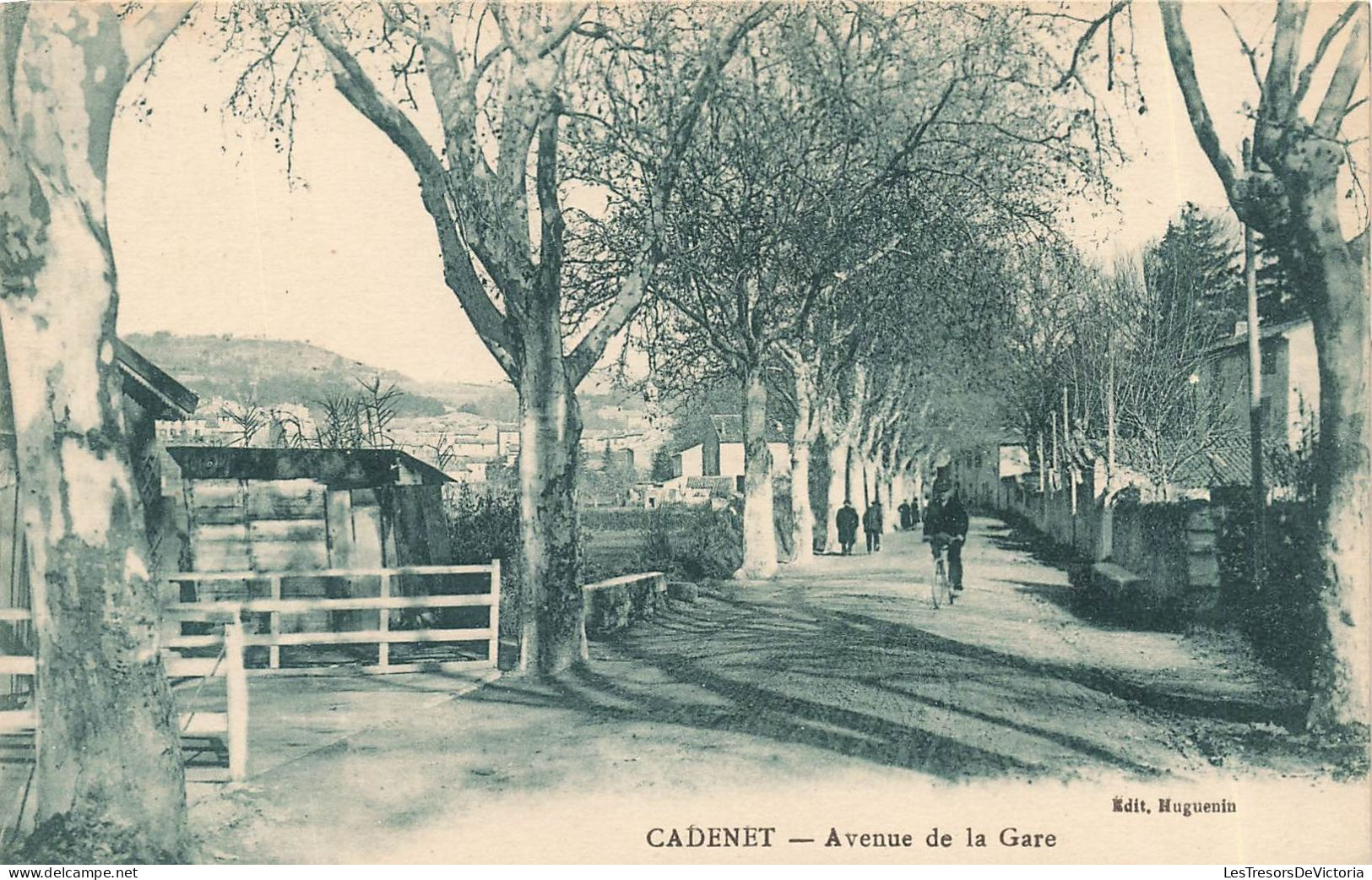 FRANCE - Cadenet - Avenue De La Gare - Carte Postale Ancienne - Cadenet