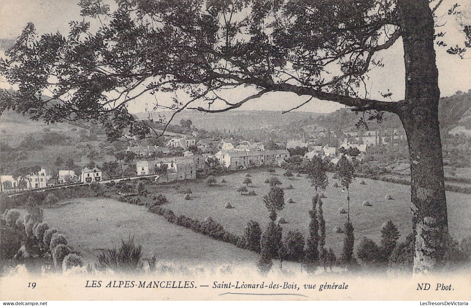 FRANCE - Les Alpes Mancelles - Saint Leonard Des Bois - Vue Generale - Carte Postale Ancienne - Saint Leonard Des Bois