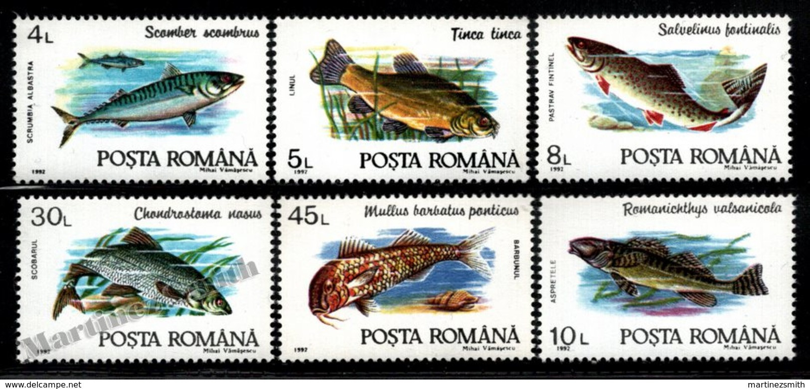 Romania - Roumanie 1992 Yvert 3991-96, Fauna, Fish / Fishes - MNH - Ungebraucht