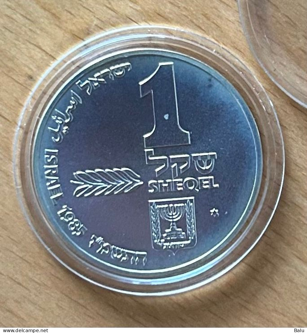 Israel 1985 Hanukka From Ashkenaz, Silber 850, 30/37mm, 14.4/28.8 Gr. 1+2 Sheqel Coin Set B.U. Proof, Krause 161-62 - Israël