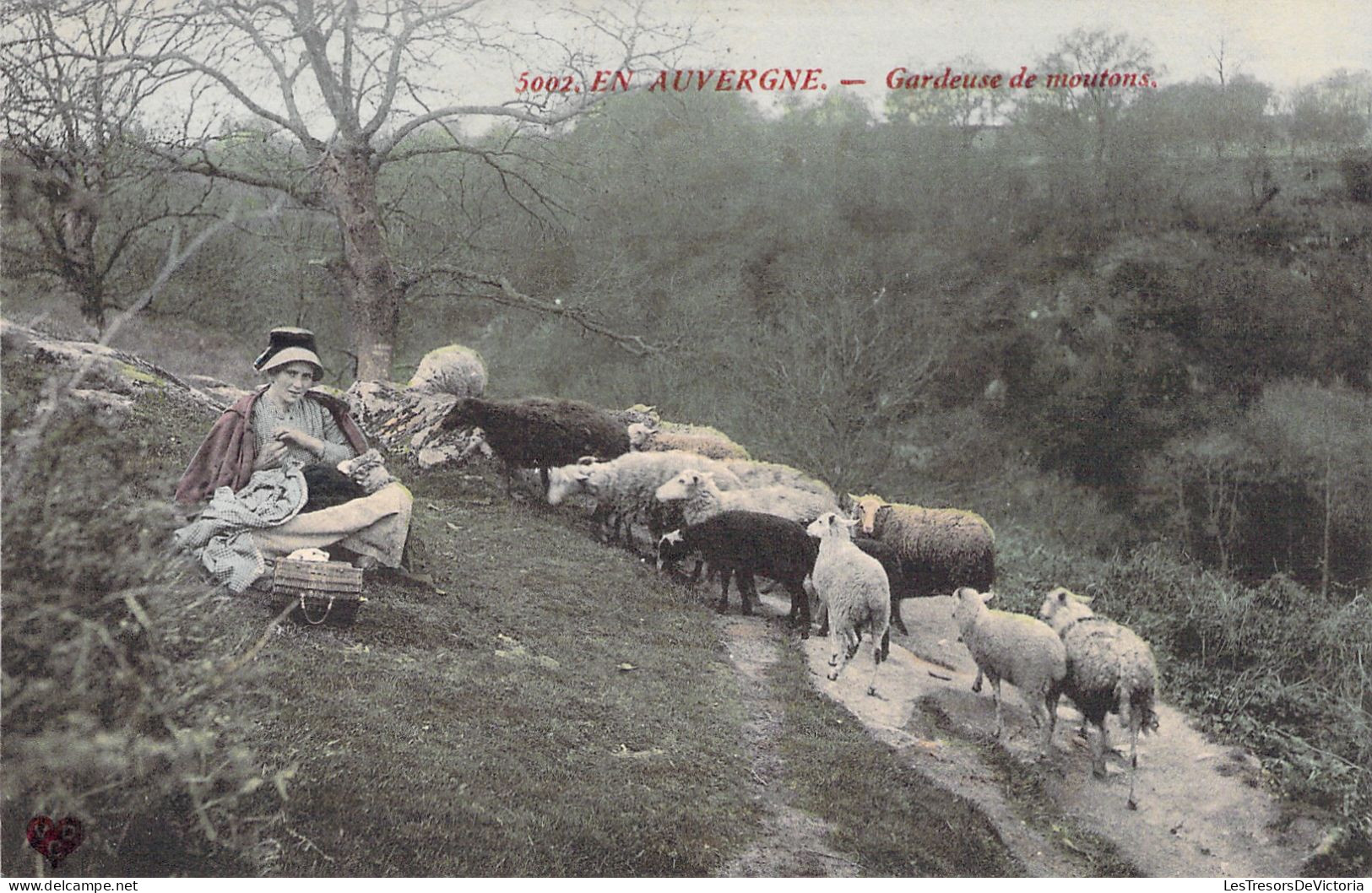 FOLKLORE - En Auvergne - Gardeuse De Moutons - Carte Postale Ancienne - Personen