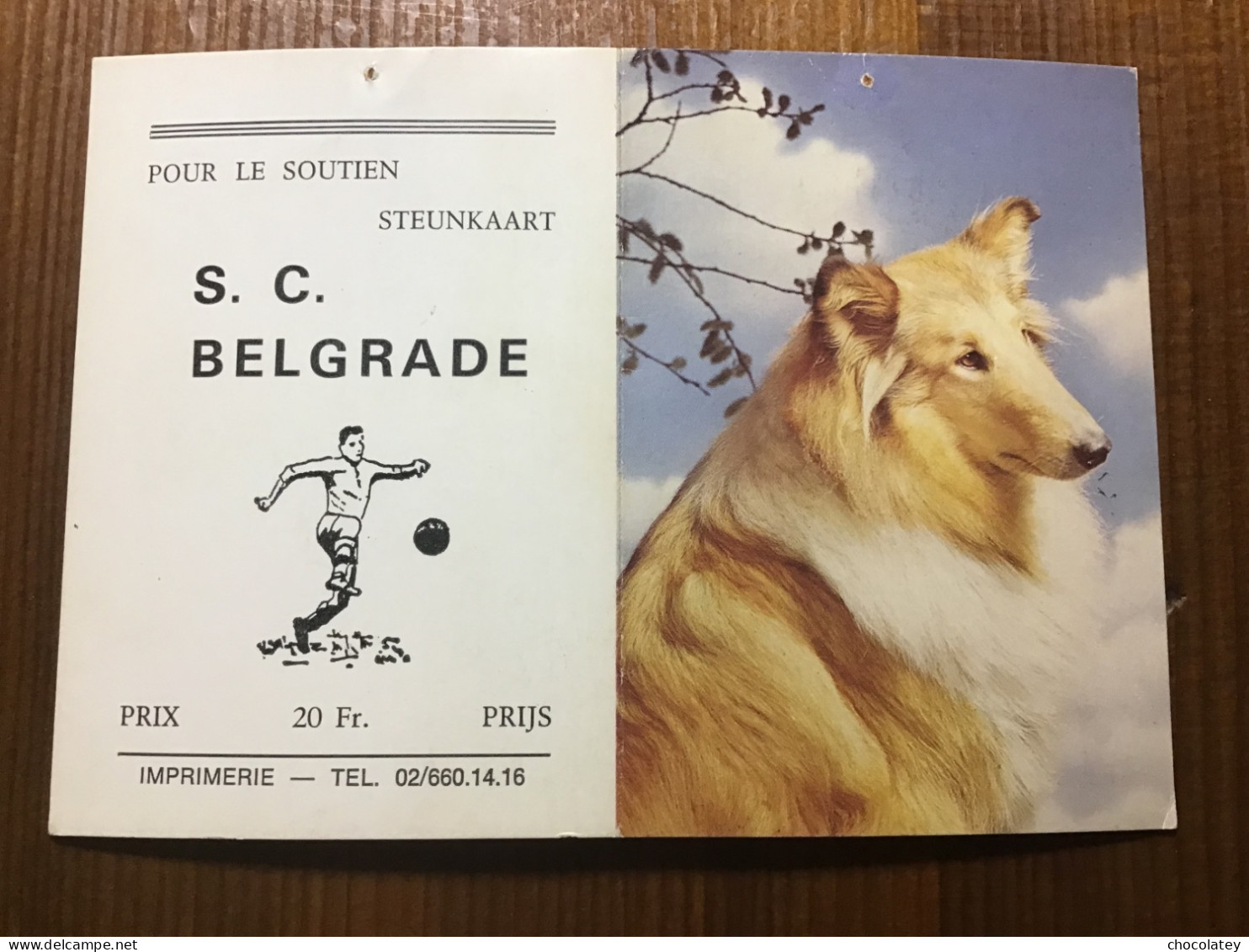 Football S C Belgrade Lassie Collie Dog - Petit Format : 1981-90