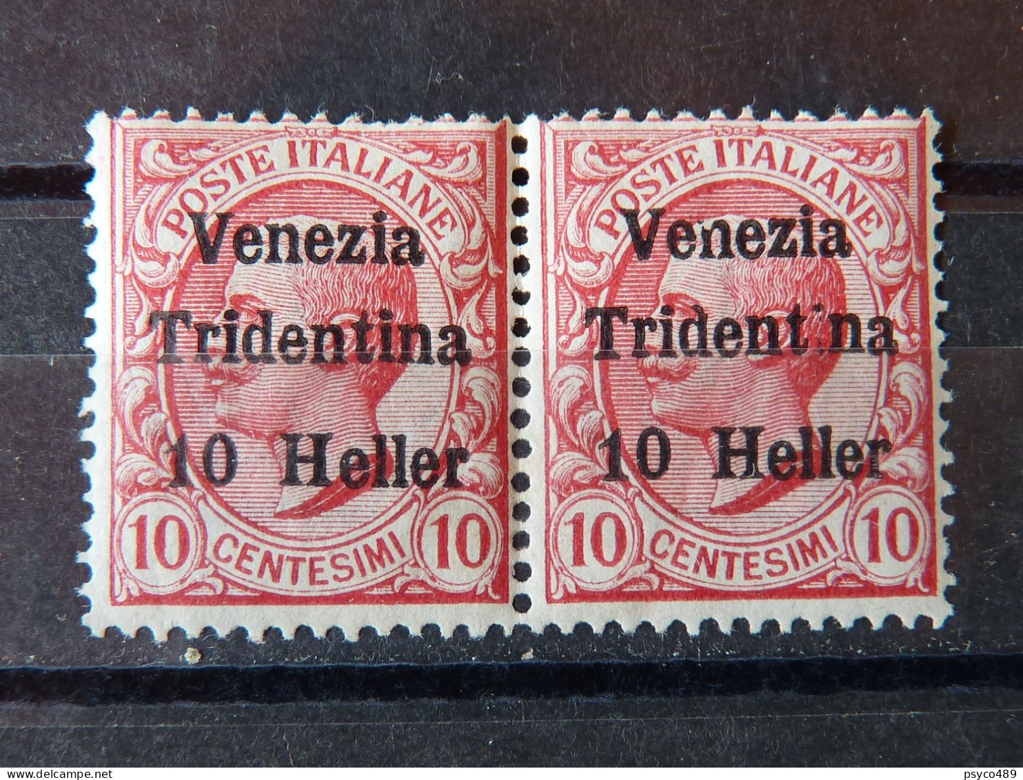 ITALIA Terre Redente -1918- "Leoni" H.10 Su 10 Varietà MNH** (descrizione) - Trentin & Trieste