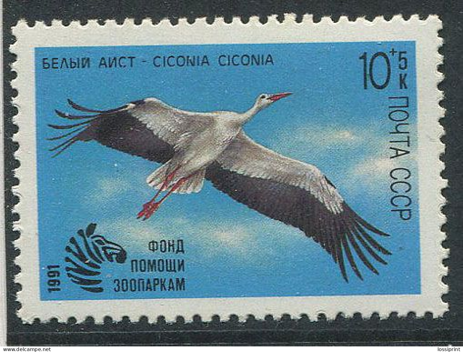 Soviet Union:Russia:USSR:Unused Stamp Stork, Ciconia Ciconia, 1991, MNH - Picotenazas & Aves Zancudas