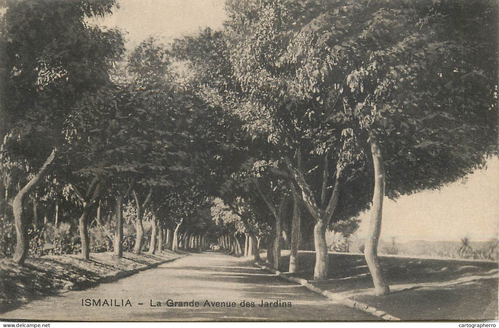 Egypt Ismailia La Grande Avenue Des Jardins - Ismailia