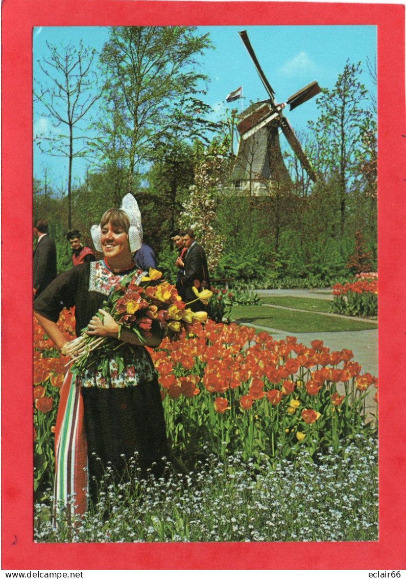 Holland In Bloementool - La Hollande En Parure Des Fleurs (oblitérée 1981)CPM  Impeccable - Bloemendaal