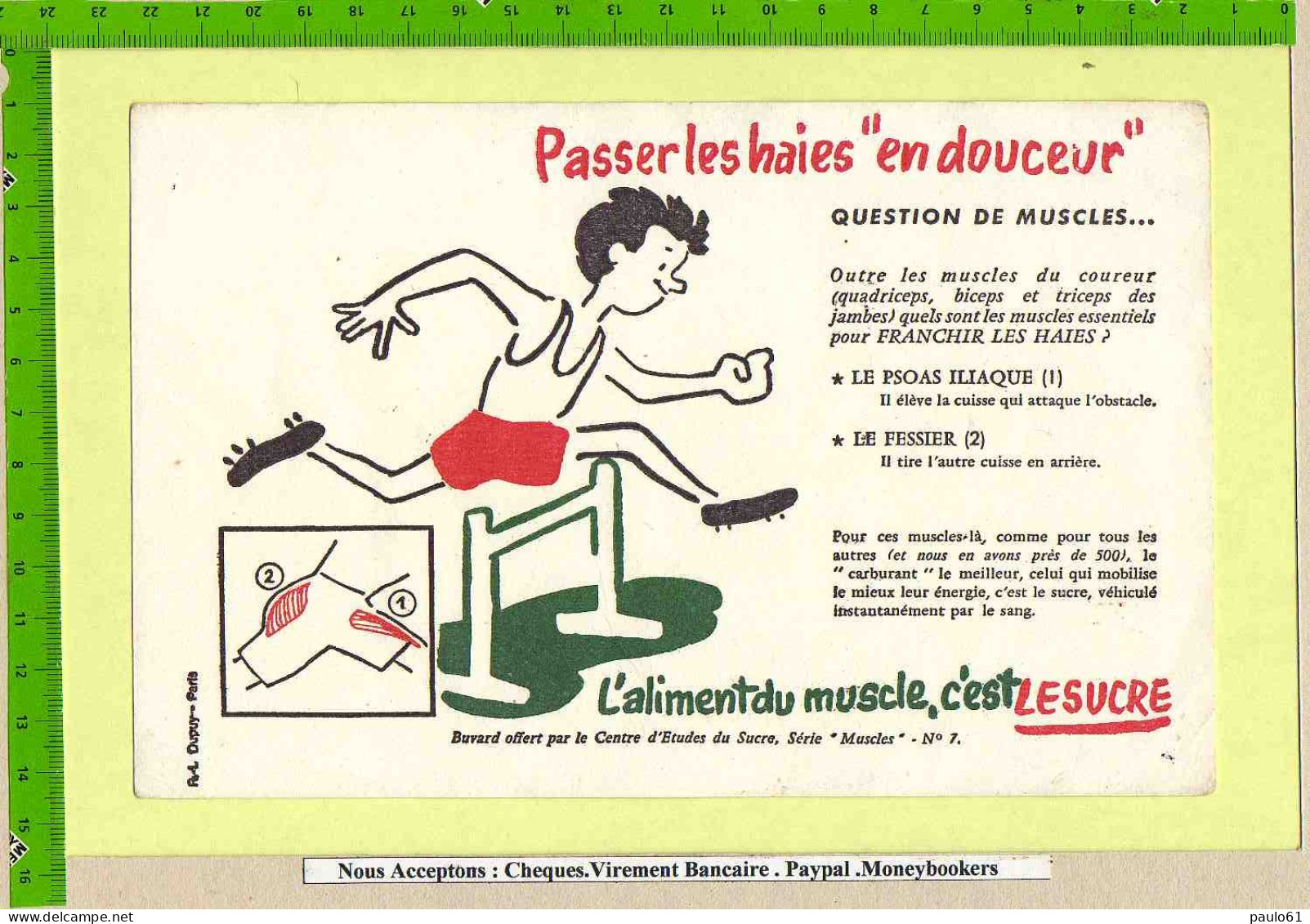 BUVARD  : Passez Les Haies En Douceur L'Aliment Du Muscle C'est Le Sucre N°7 - Cake & Candy