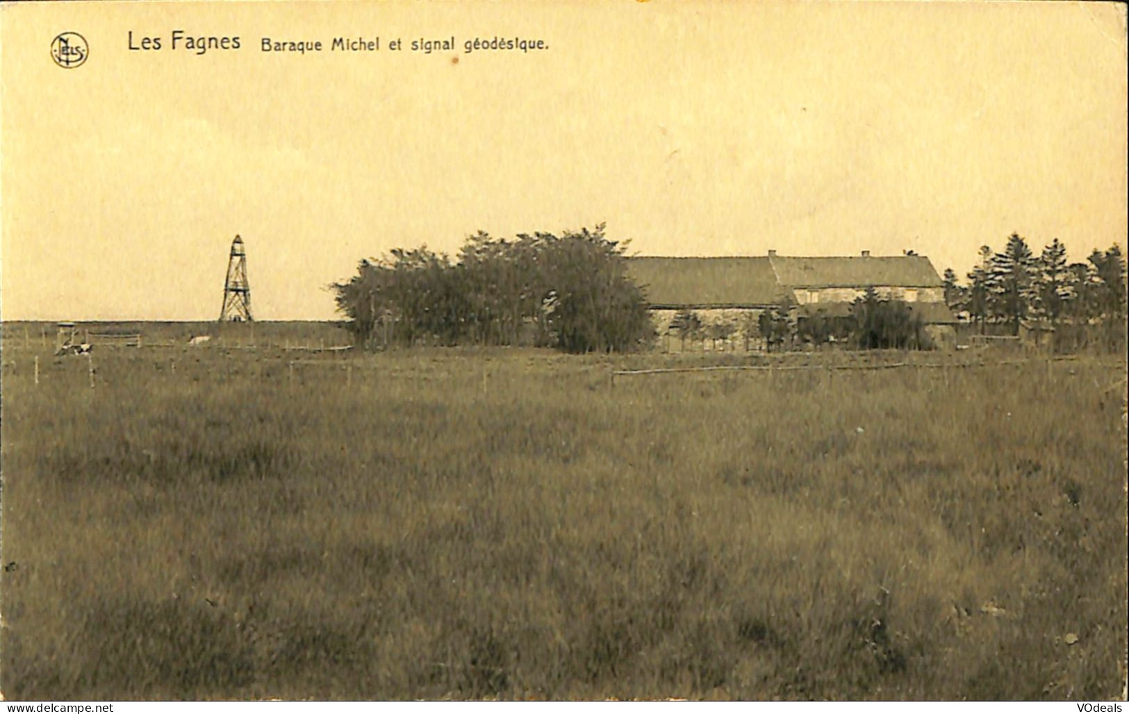 Belgique - Liège - Les Fagnes - Baraque Michel Et Signal Géodésique - Weismes