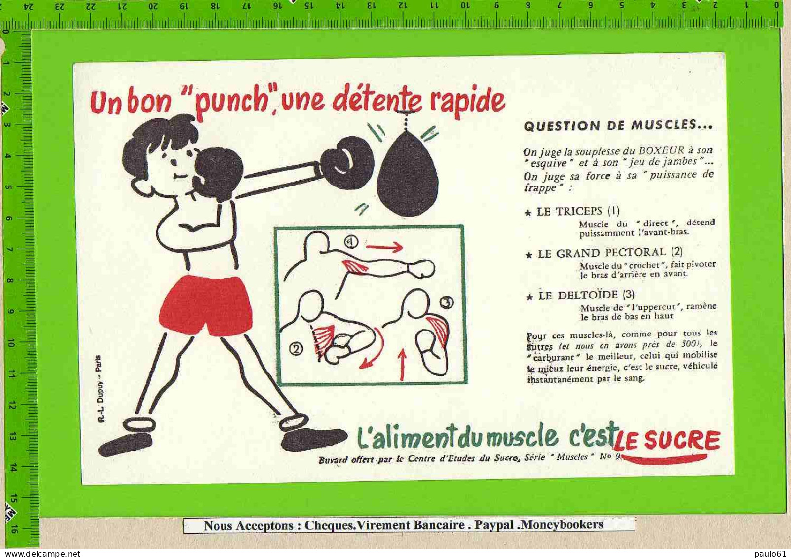 BUVARD  : Un Bon Punch L'Aliment Du Muscle Le Sucre N°9 Boxe - Koek & Snoep