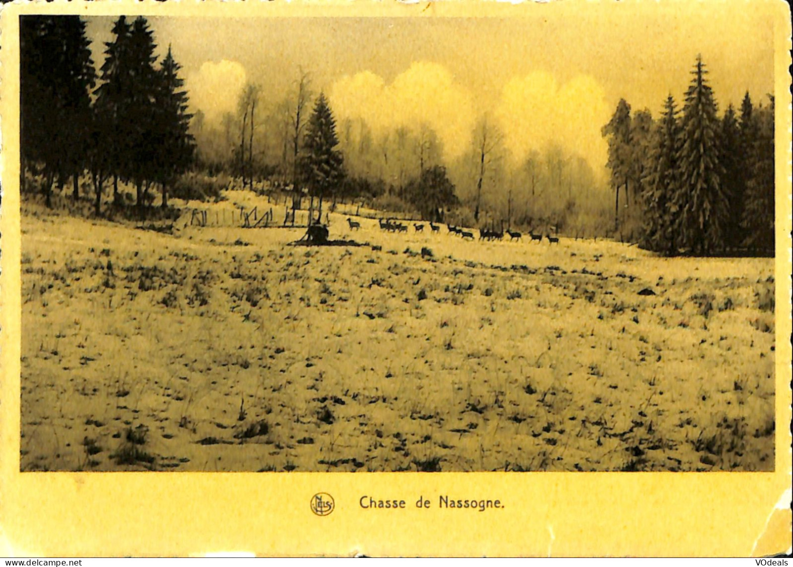 Belgique - Luxembourg - Chasse De Nassogne - Nassogne