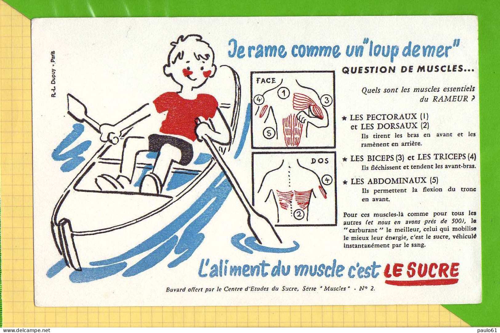 BUVARD @ Blotting Paper : L'Aliment Du Muscle Est Le Sucre  Je Rame Comme Un Loup De Mer - Sucreries & Gâteaux